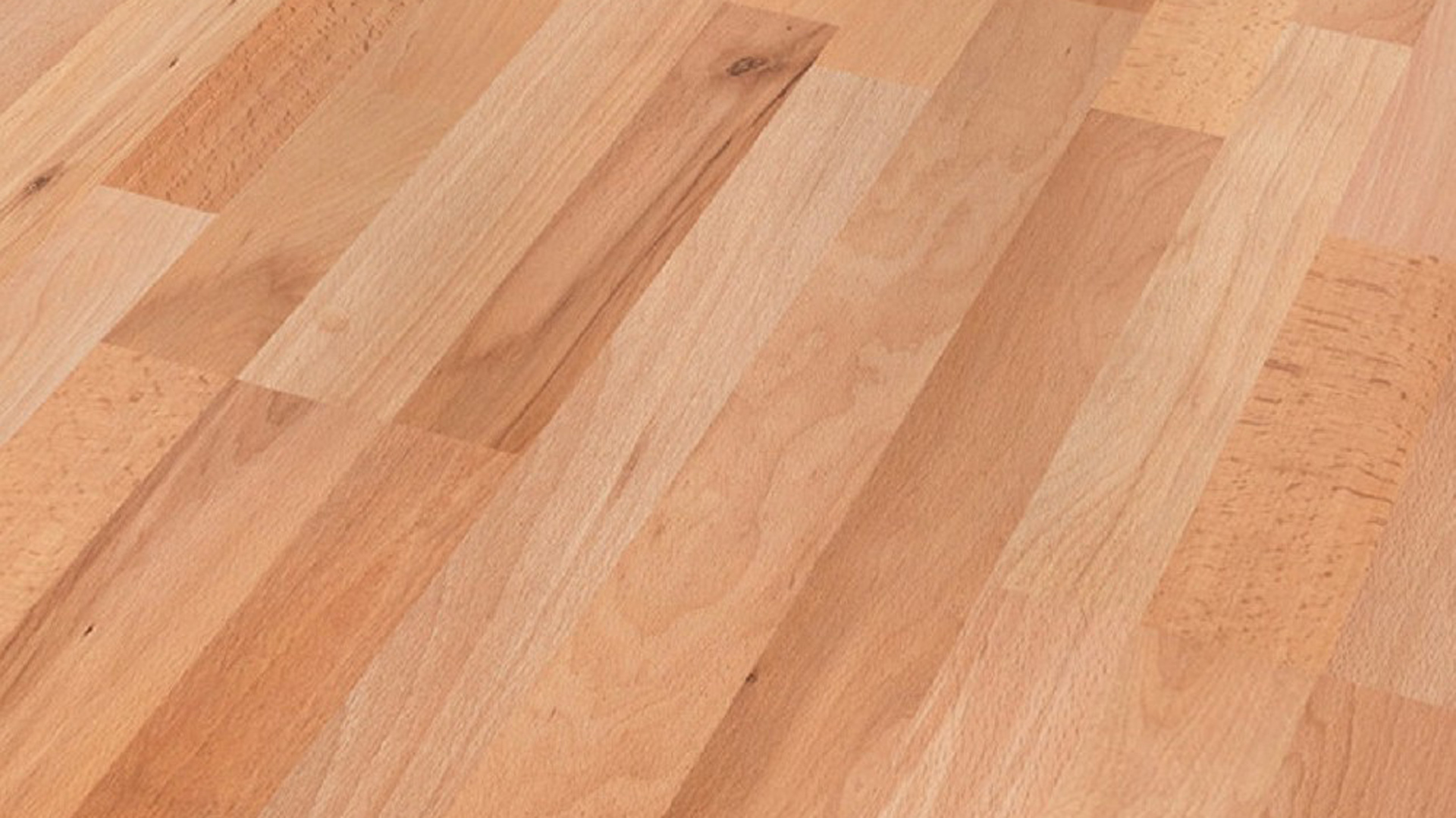 Buchen Laminat